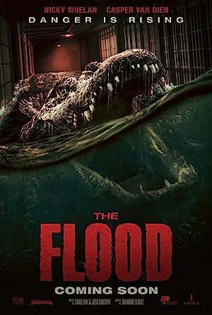 فیلم The Flood 2023 | سیل