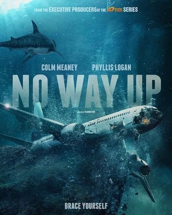 پوستر فیلم No Way Up 2024 | هیچ راهی به بالا نیست - سینماچی