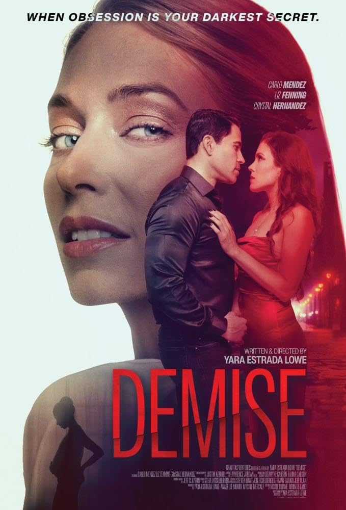 پوستر فیلم Demise 2024 | مرگ - سینماچی