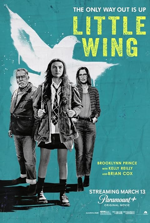 فیلم Little Wing 2024 | بال کوچک