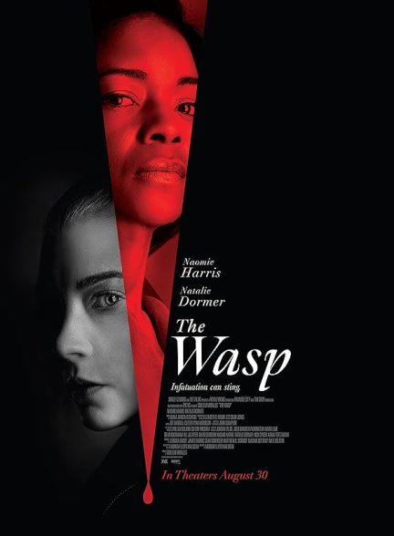 فیلم The Wasp 2024 | زنبور