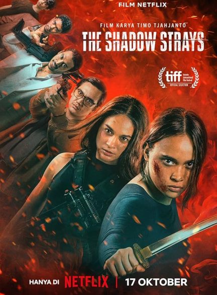 فیلم The Shadow Strays 2024 | ولگردهای سایه