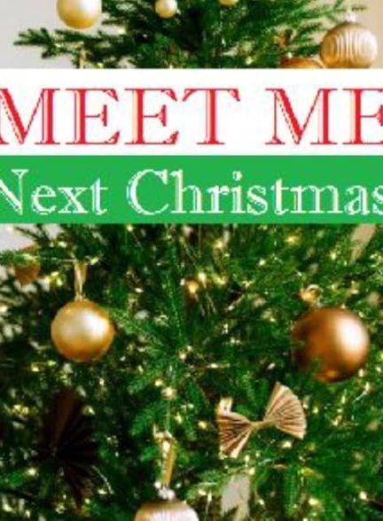 فیلم Meet Me Next Christmas 2024 | کریسمس بعد با من ملاقات کن