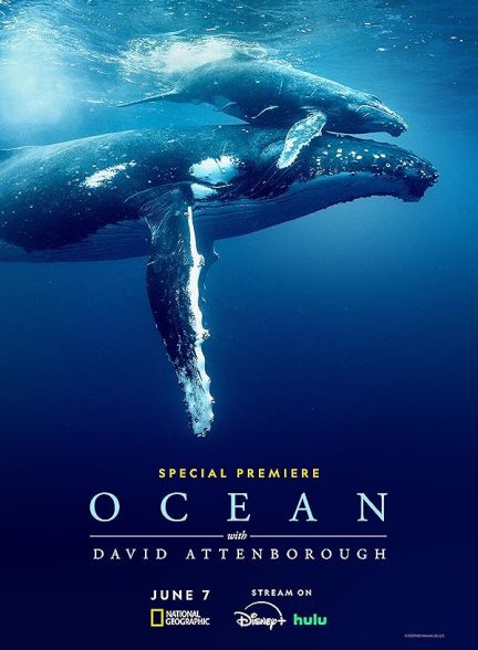 مستند Ocean with David Attenborough 2025 | اقیانوس با دیوید اتنبرو